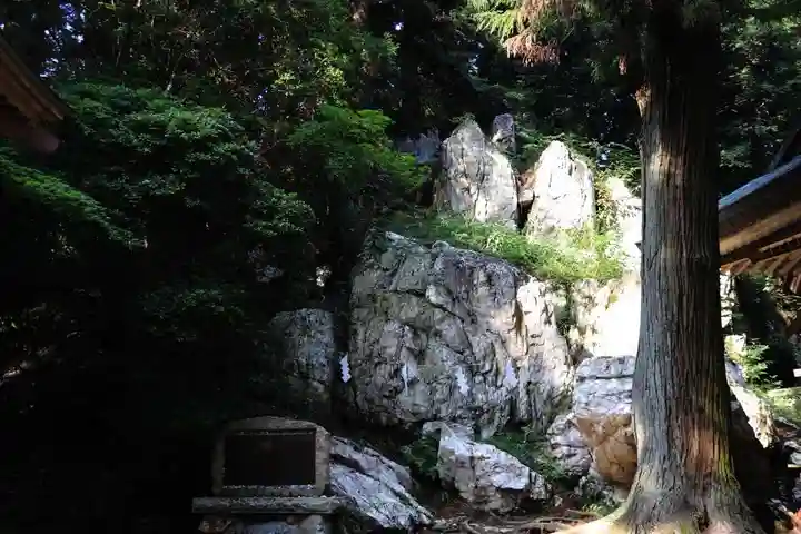 鹿島大神宮の自然