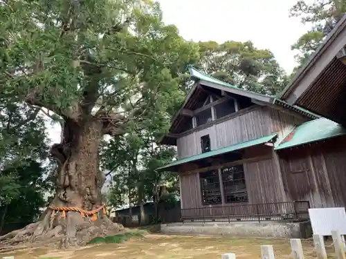 川津来宮神社の本殿・本堂