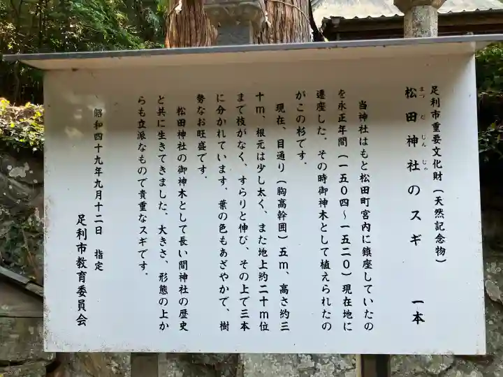松田神社の{uncategorized: "未分類", other: "その他", undefined: "問題あり", building: "その他建物", grave: "お墓", sacred_gate: "鳥居", guardian: "狛犬", statue: "像", buddha: "仏像", history: "歴史", nature: "自然", garden: "庭園", animal: "動物", pagoda: "塔", temizu: "手水舎", mountain_gate: "山門・神門", sanctuary: "本殿・本堂", subordinate: "末社・摂社", art: "芸術", scenery: "景色", jizo: "地蔵", ema: "絵馬", goshuin: "御朱印", omikuji: "おみくじ", items: "授与品その他", amulet: "お守り", goshuincho: "御朱印帳", eats: "食事", festival: "お祭り", votive_dance: "神楽", shichigosan: "七五三参", wedding: "結婚式", experience: "体験その他", initially: "初詣", around: "周辺", anti_infection: "感染症対策"}