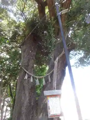 八景天祖神社(東京都)