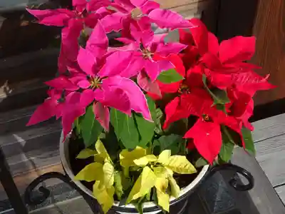 妙蓮寺(神奈川県)