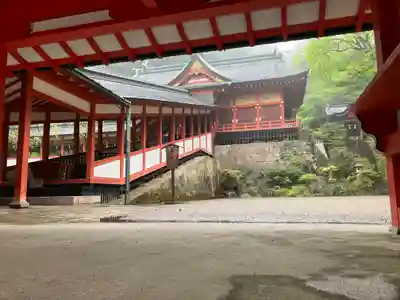 霧島神宮(鹿児島県)