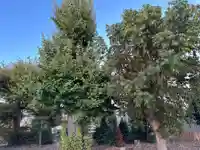 大浴神社(滋賀県)