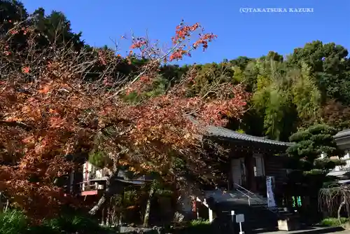 北條寺(静岡県)