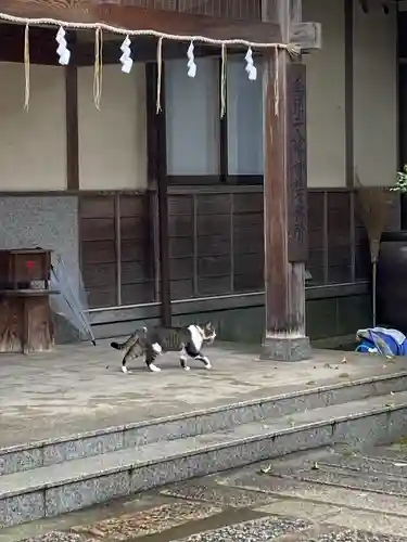 烏須井八幡神社(広島県)