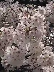 伊和志津神社の自然