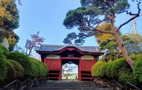 護国寺(東京都)