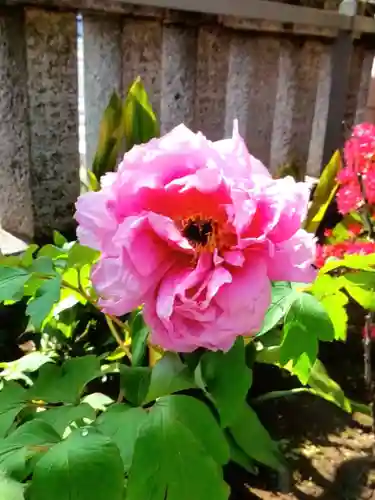 常性寺(東京都)