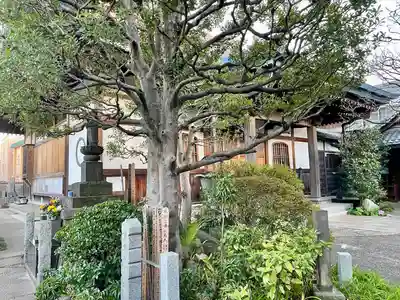 興禅寺(東京都)