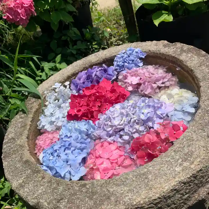 般若寺 ❁コスモス寺❁(奈良県)