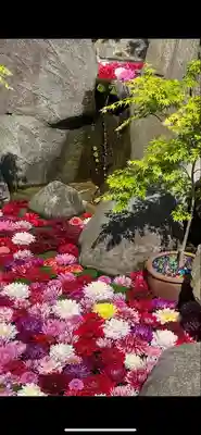 岡寺(龍蓋寺)(奈良県)