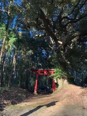 宇迦大神(千葉県)