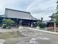 大通寺(長浜御坊)の本殿・本堂