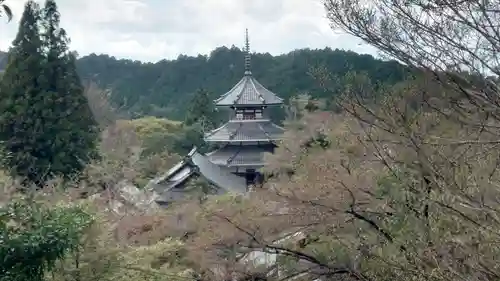 金峯山寺の塔
