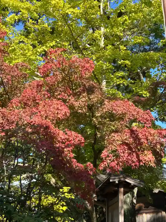 九頭大明神(大阪府)