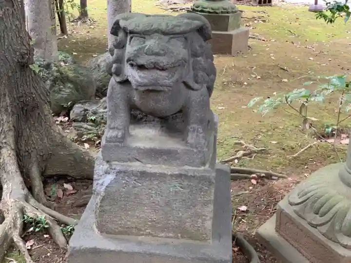 赤坂氷川神社の本殿・本堂