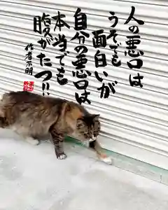 専念寺(大阪府)(2022年07月18日(月) 20時52分24秒投稿)