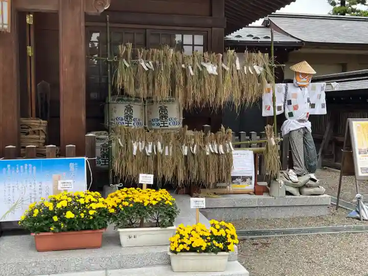 高麗神社(埼玉県)