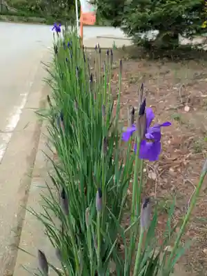 伏木香取神社(茨城県)