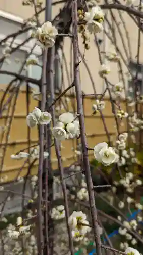 大松禅寺(京都府)