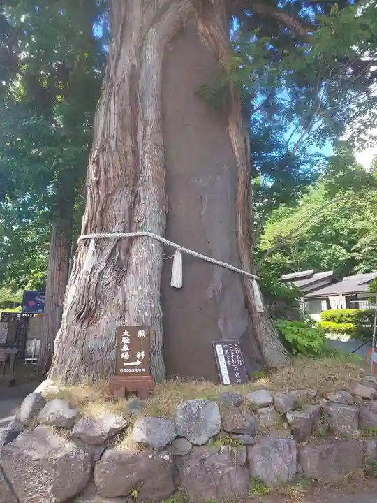 戸隠神社中社の自然