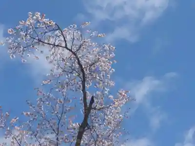 豊龍神社(山形県)