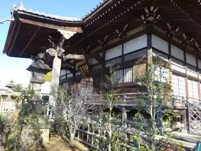 妙蓮寺の本殿・本堂
