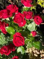 上尾御嶽神社の手水舎