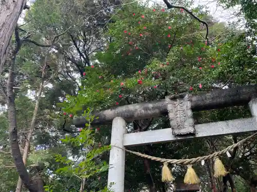 山の神神社の鳥居
