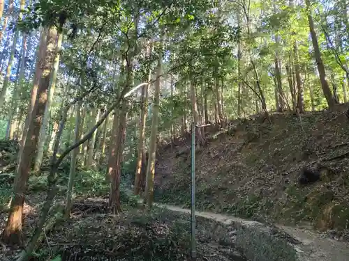 辰五郎大明神(奈良県)