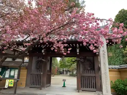 一乗院の山門・神門