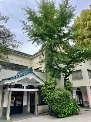 鳥越神社(東京都)