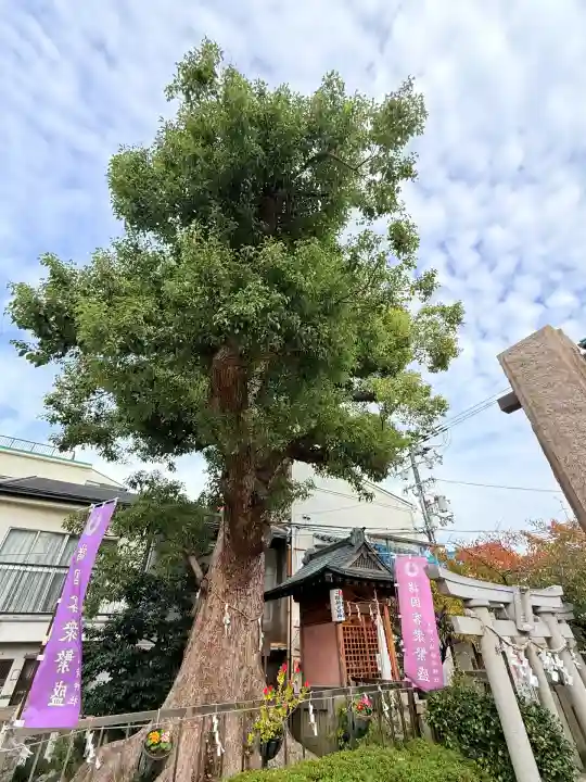 生野八坂神社(大阪府)