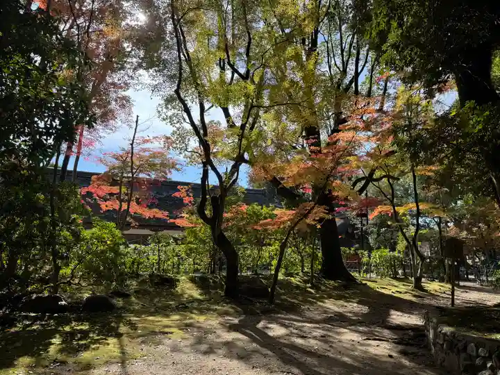 賀茂別雷神社(上賀茂神社)(京都府)