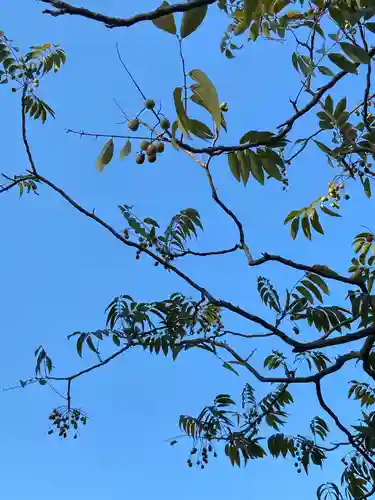 豊川閣　妙厳寺の自然