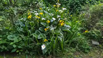 攝取院（摂取院）(滋賀県)