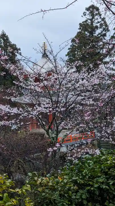 正法寺(京都府)