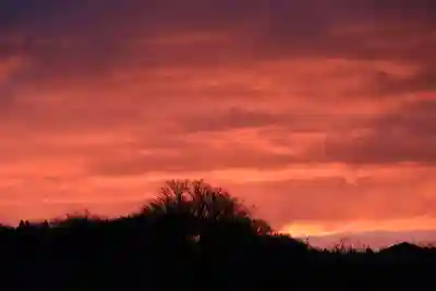 阿久津「田村神社」(郡山市阿久津町)旧社名:伊豆箱根三嶋三社の初詣