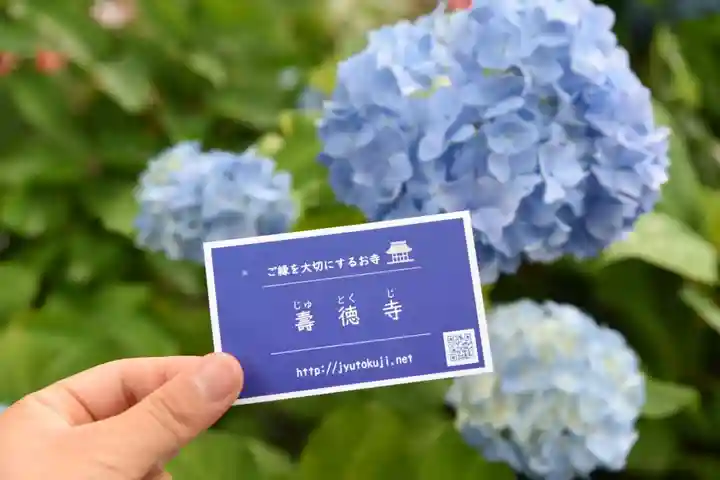 壽徳寺 じゅとくじの自然