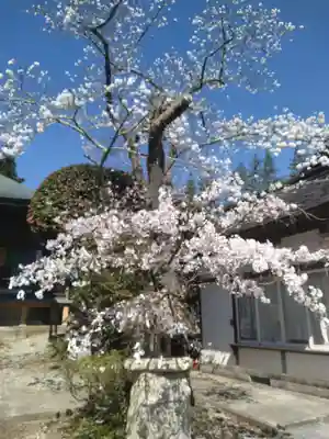 泉明寺(宮城県)