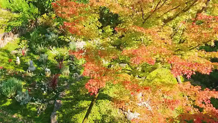 寿量山 速成寺の自然