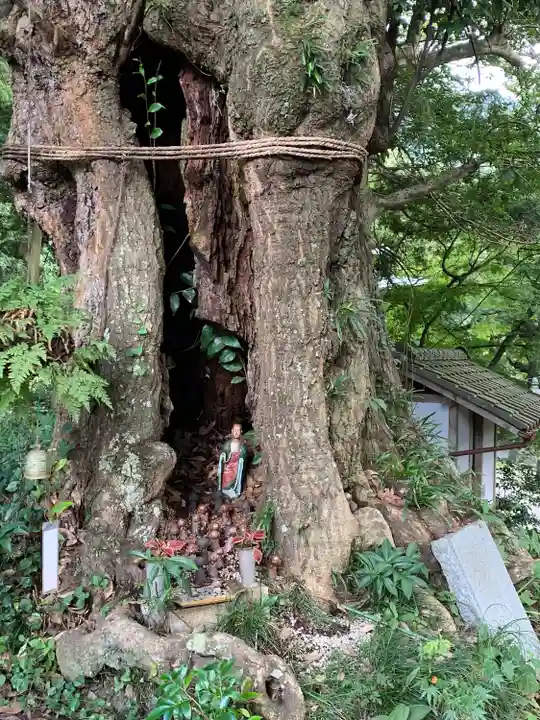 椎尾山薬王院(茨城県)