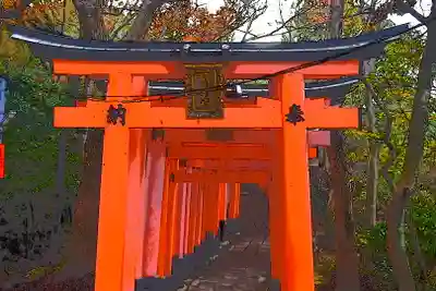 伏見稲荷大社の鳥居