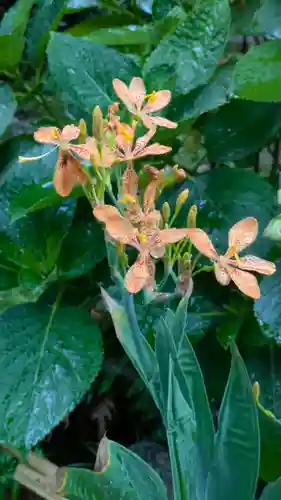 宝蔵寺(京都府)