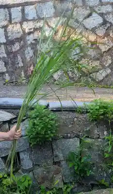 出雲大社倉敷教会(岡山県)