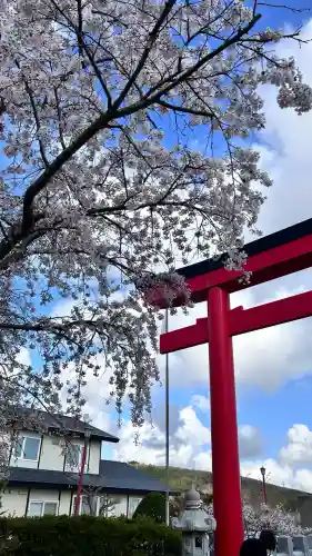 北海道東照宮(北海道)