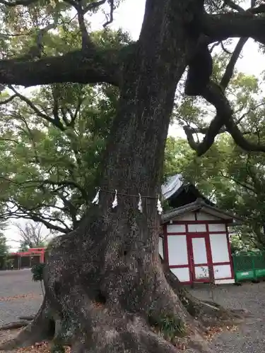 北岡神社の自然