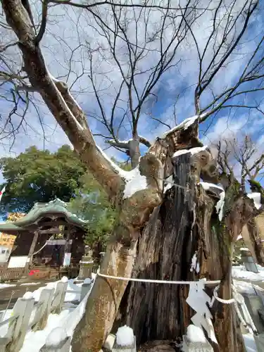 阿邪訶根神社の自然
