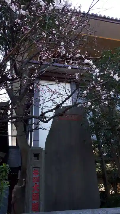 川崎大師(平間寺)の自然