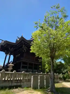 大浦神社の{uncategorized: "未分類", other: "その他", undefined: "問題あり", building: "その他建物", grave: "お墓", sacred_gate: "鳥居", guardian: "狛犬", statue: "像", buddha: "仏像", history: "歴史", nature: "自然", garden: "庭園", animal: "動物", pagoda: "塔", temizu: "手水舎", mountain_gate: "山門・神門", sanctuary: "本殿・本堂", subordinate: "末社・摂社", art: "芸術", scenery: "景色", jizo: "地蔵", ema: "絵馬", goshuin: "御朱印", omikuji: "おみくじ", items: "授与品その他", amulet: "お守り", goshuincho: "御朱印帳", eats: "食事", festival: "お祭り", votive_dance: "神楽", shichigosan: "七五三参", wedding: "結婚式", experience: "体験その他", initially: "初詣", around: "周辺", anti_infection: "感染症対策"}